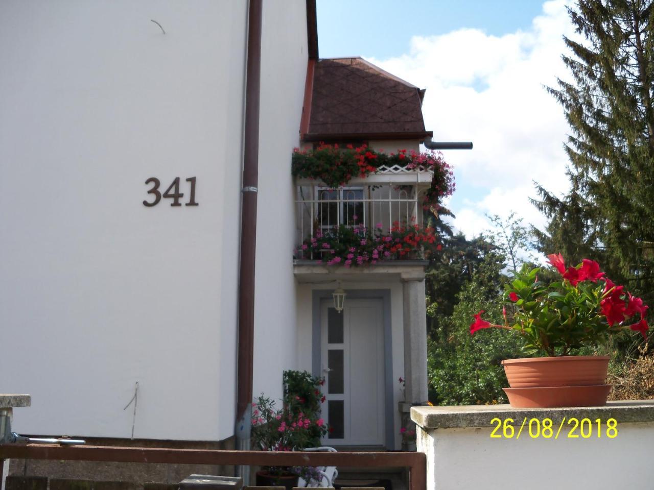penzion Iv Hazlov Exteriér fotografie